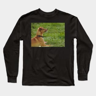 Dog show Long Sleeve T-Shirt